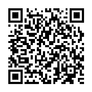 楚暮将这五个魔族的杀戮秘纹杀戮符文和空间戒指等等全部收取二维码生成