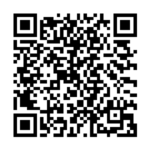 欣喜地发现如今自己的修为已经恢复到了结丹期第十层的修为二维码生成