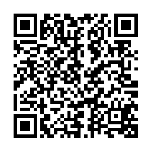 欧阳志远正在办公室安排沈朝龙和杨凯旋过来签订基建的合同二维码生成