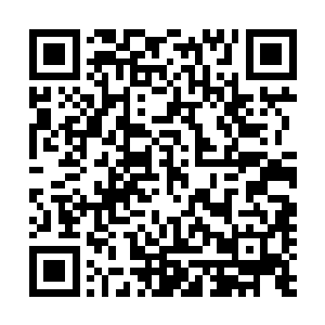 此榜可以评定任何曾出现在灵墟之地修士的炼丹境界和潜质二维码生成