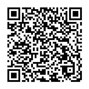 毕竟用向国内大学捐款的方式回应耶鲁捐款的非议会显得有些慌乱且生硬二维码生成