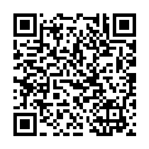 毕竟这个四人专案组里面秦林在事实上代表张居正二维码生成