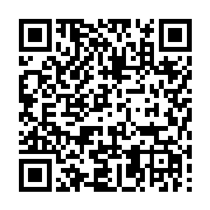 没有叛逆期……这一次的章又盖得人们发出轻笑声二维码生成
