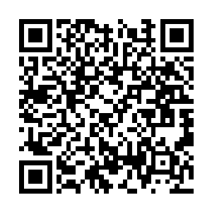 没有定玄那几乎无可挣脱的束缚和削光防御的秘法二维码生成