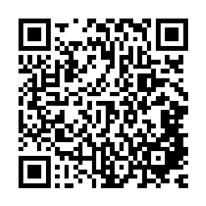 清虚门和流云宗怎么可能会将矿脉分出一半给无极宗和张潇晗呢二维码生成