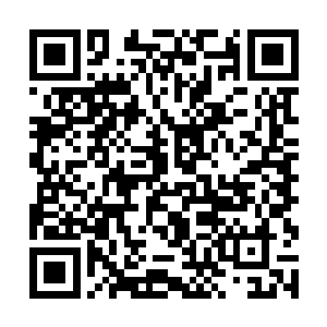 炼狱轮回秘法在自己凝聚地之脉轮过程中所起的作用二维码生成