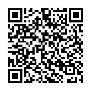 猴子忽然从耳中掏出了金箍棒重重砸在一旁的书架上二维码生成