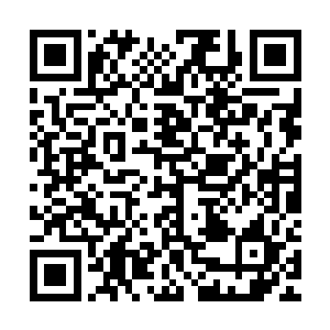 王枫把达尔文的亲身经历全部换成了在中国与东南亚的实践考察二维码生成