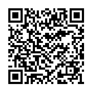 现在他们已经将周围其他的队伍清理的差不多了二维码生成