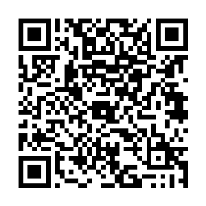 现在这个低等种族却用这么直接的动作羞辱了他们二维码生成
