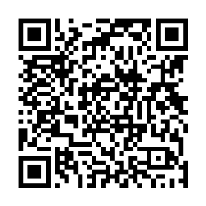 现在那些特殊现象研究办公室的家伙肯定在到处抓捕自己二维码生成
