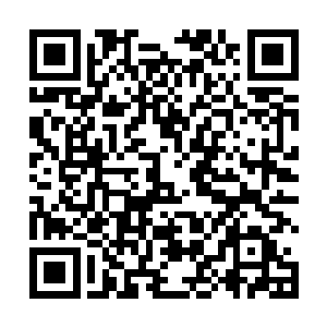 瑟琳娜为什么有信心罗楼可以带领他们走向世界的正轨二维码生成