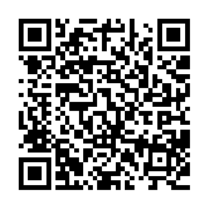 甚至完全可以将身体行动的信息与神经控制触手完全断绝开来二维码生成