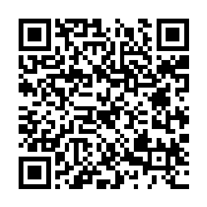 甚至连一些国家的医疗代表团团长都对他言听计从二维码生成