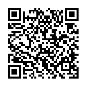 由许多深浅不一的符文线条所构成的大型粒子方程二维码生成