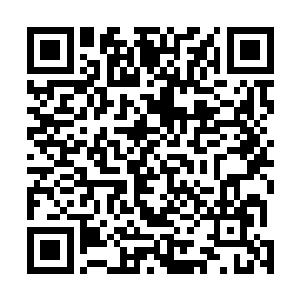 电信和移动等公司也专门根据领导指示派来了信号保障车二维码生成