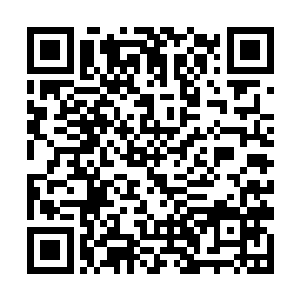 皇家医学院的院长希瓦率领着一众学校领导守在门口二维码生成