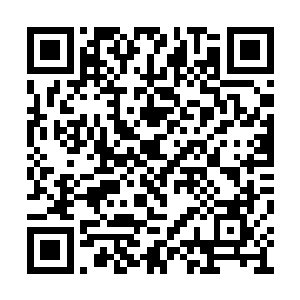 皮皮和囡囡两个就带着小语镌开始往电车上爬了二维码生成