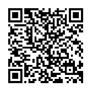 看來我确实要重新评价你们的情报系统了…沒我想象的那么废二维码生成