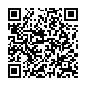 硬碰硬根本无力抵挡比他强大了一个层次以上的大高手二维码生成
