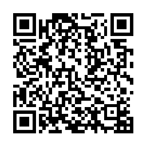 确实是没有表现出任何敌意的……甚至他要是现在出手的话二维码生成