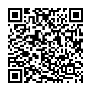 碧姬在恋爱方面的性格在学院里恐怕属于稀有动物了二维码生成
