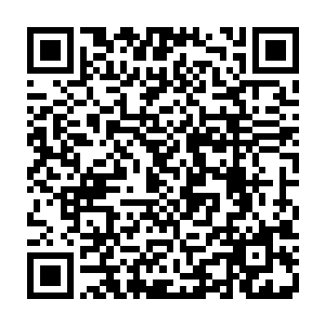 秦方完全是可以不用出手的……这样毕尔巴多斯将最终享有所有的战利品二维码生成