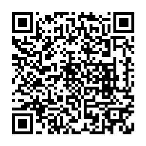 立即发出了这样一声震天动地的嘶吼声……顿时一股狂暴无比的力量急速的袭来二维码生成