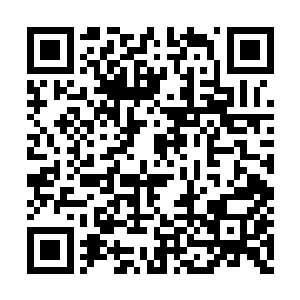 站在红地毯两侧的记者们和观众们根本目不暇接二维码生成
