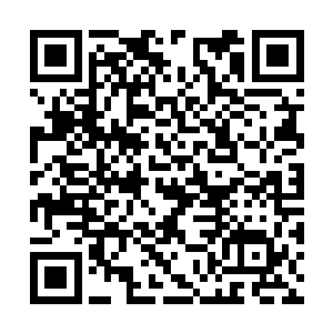 第一批新式鼠标将会用在戴尔公司的两款计算机上二维码生成
