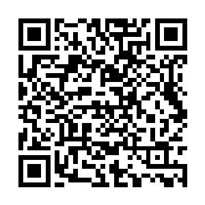 组织部会在常委会结束后第一时间下发任命文件的二维码生成