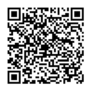 给他们每个人挑选了适合他们的一件六品中期防御仙器和一件六品中期攻击仙器二维码生成