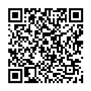 而且他事先在公司内部看过红高粱在海外的发行和买断数据二维码生成