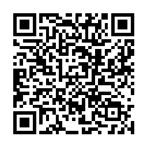 而且他坚信等到项谋回到家族看到族地凄惨的模样二维码生成