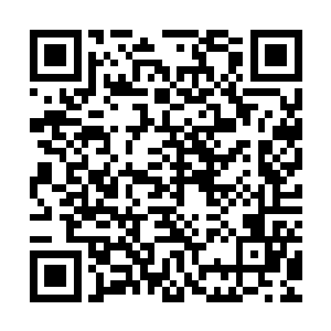 而且在他们的上空说不定什么时候就又会出现一条新的浩劫裂缝二维码生成