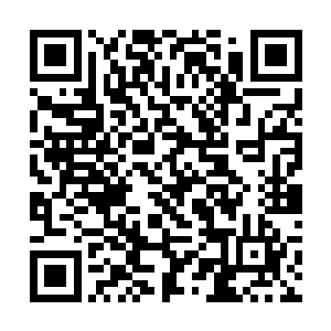 而且无尽蓝海里面的妖兽数量是无法用数字来形容的二维码生成