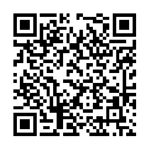 而他们竞演的最后结果将会影响到最后的歌王之战二维码生成