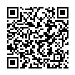而我仔仔细细的打量了房间数遍都没有看到异样来二维码生成