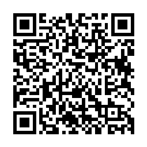 而是冲着那些跟在左右的羽化宗以及青木南林的众弟子挥了挥手二维码生成