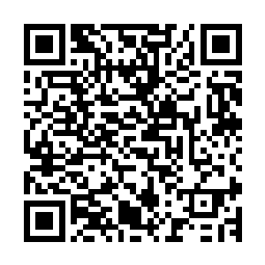 而许紫烟释放的护罩却让他们无惊无险－地一路飞行到了现在二维码生成