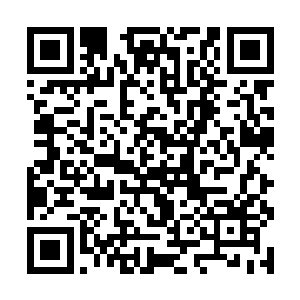 能不能用圣火炼血帮兽人们增强血管的韧性和抗力呢二维码生成