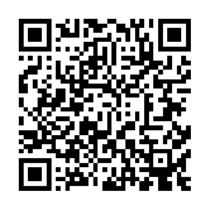 自然是魏国公这个世代镇守南京的公爵府最受历代皇帝信任了二维码生成
