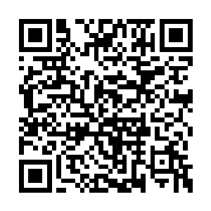 苏公子的惨叫声似惊醒了狼狈不堪的翰林院掌院二维码生成