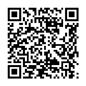 虽然塔尔塔罗斯肯定已经把我们的实力告诉了宙斯他们二维码生成