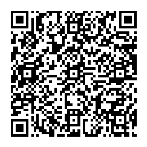 虽然我也知道剧本有时会根据玩家的记忆以及各种现实世界里存在的影像或文字制品随机生成二维码生成