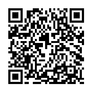 要知道这根树鞭可是无根树祖用几千根根须汇聚而成的二维码生成