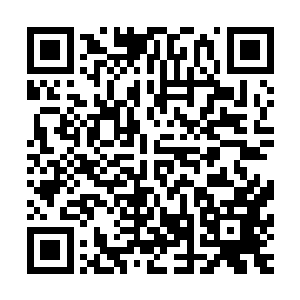 说他以金丹期的实力不惧化神期的存在实在是低阶修士的榜样二维码生成