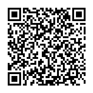 请让我们用掌声和欢呼请出维克托教授和他的乔尔布特特别研究小组二维码生成