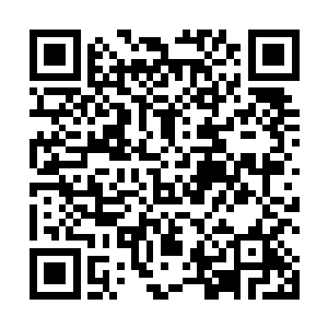 蹲在树上的暗卫第一次没按照职业操守无视主子的秘密二维码生成