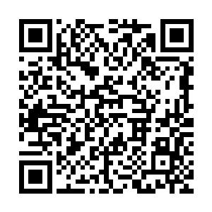 边学道和孟茵云继续讨论沈馥一场演唱会成本大概是多少的问题二维码生成